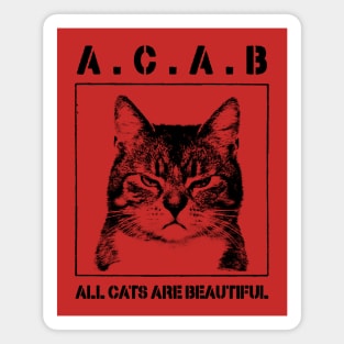 All Cats Are Beautiful Magnet